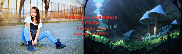 мет Няндома