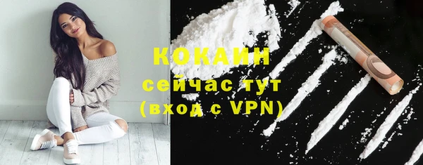 мет Няндома