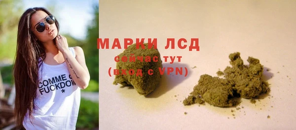 прущие грибы Нязепетровск