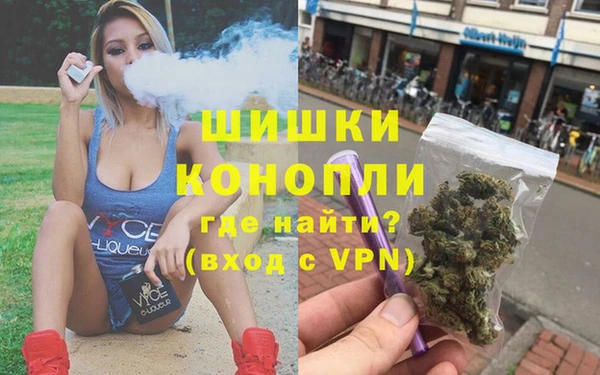 прущие грибы Нязепетровск