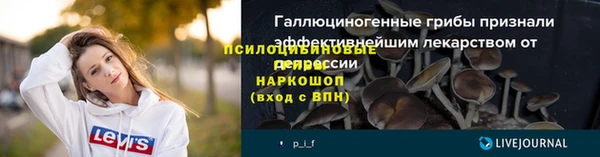 прущие грибы Нязепетровск