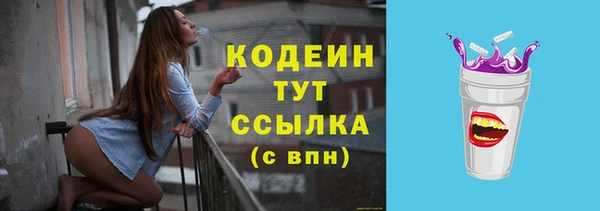 мет Няндома