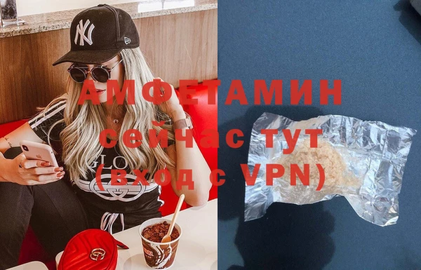 мет Няндома