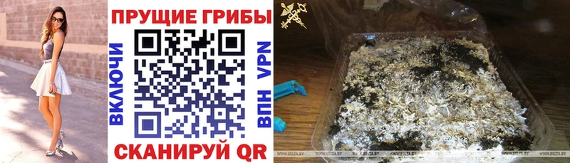 Галлюциногенные грибы Magic Shrooms  даркнет сайт  Струнино 